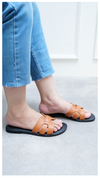CROC SLIDES